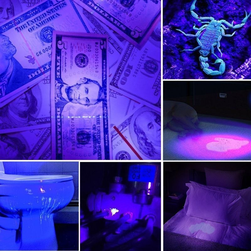 12led (14).jpg