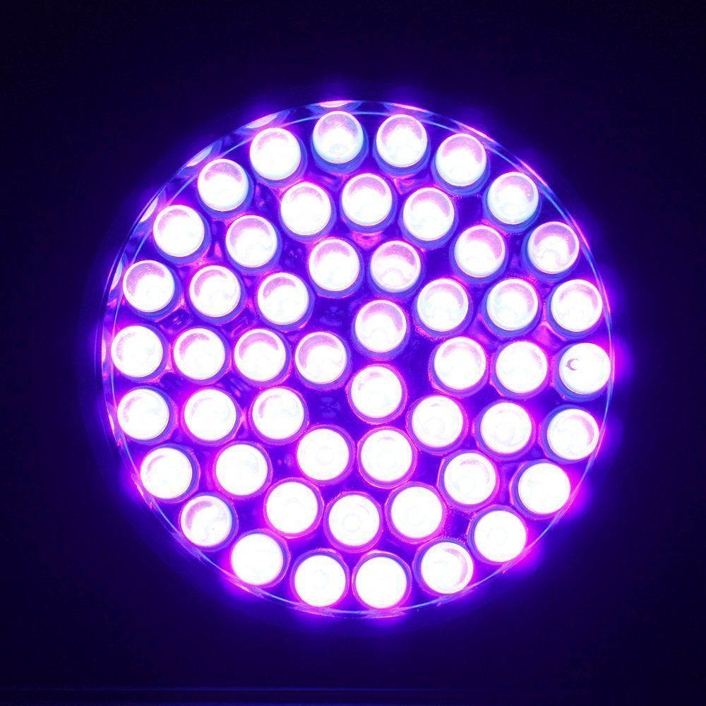51 leds (15).jpg
